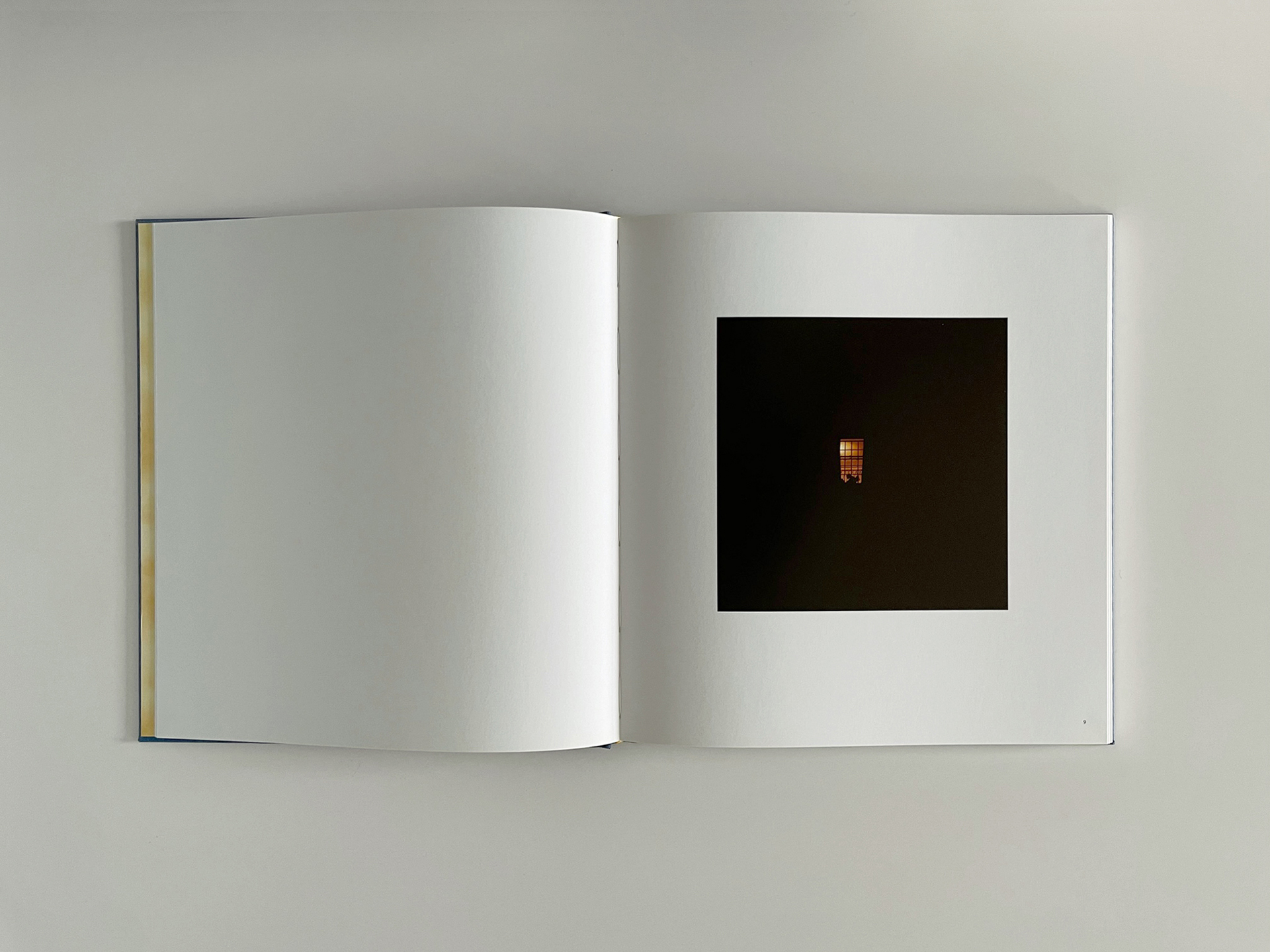 Still here | Projects | Lydia Goldblatt