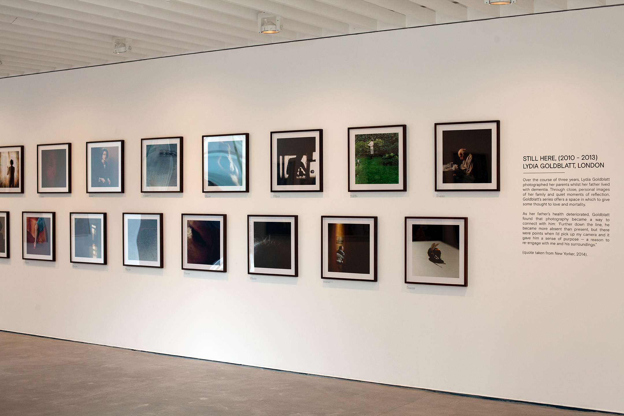 Still here | Projects | Lydia Goldblatt