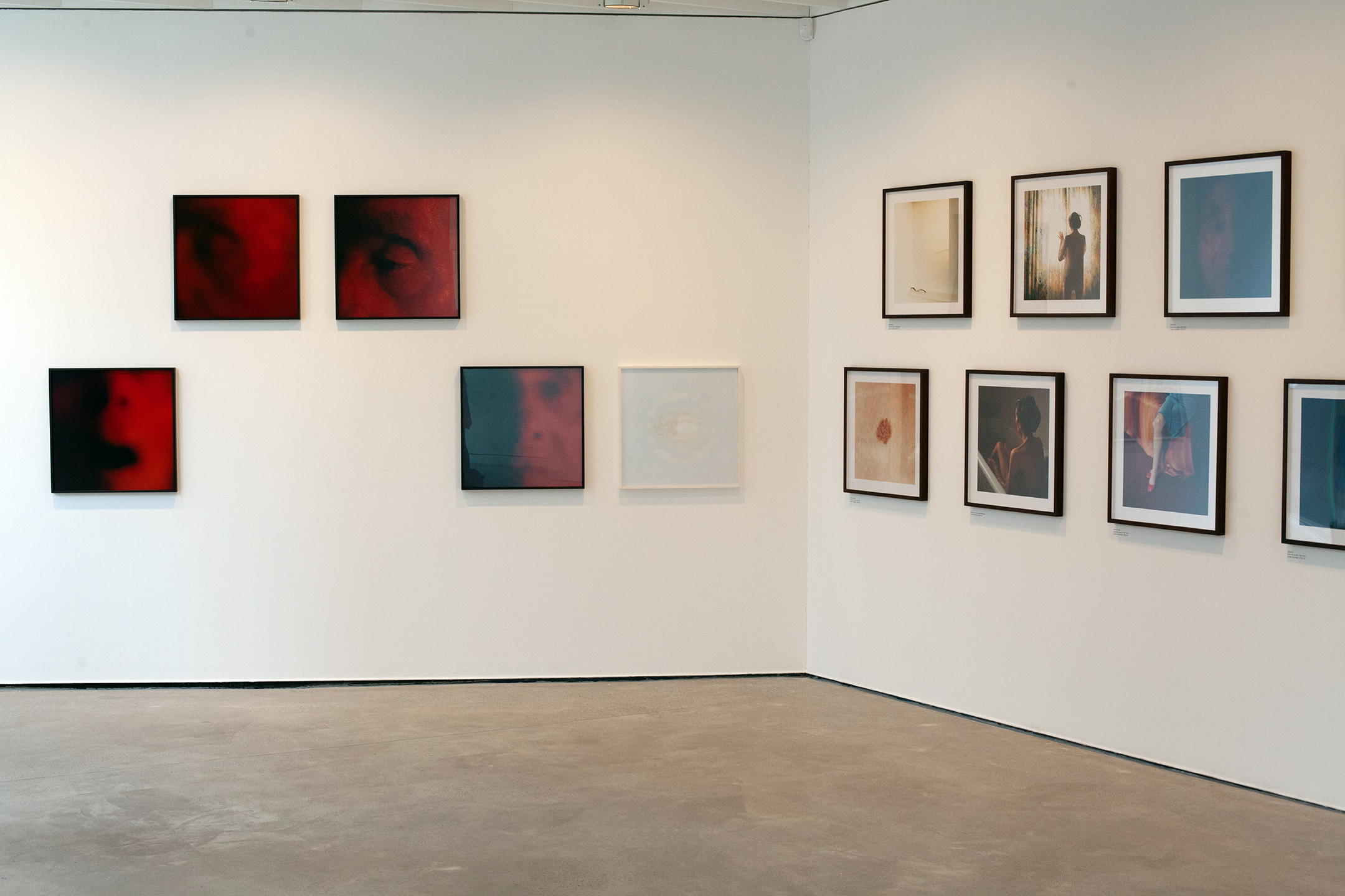 Still here | Projects | Lydia Goldblatt
