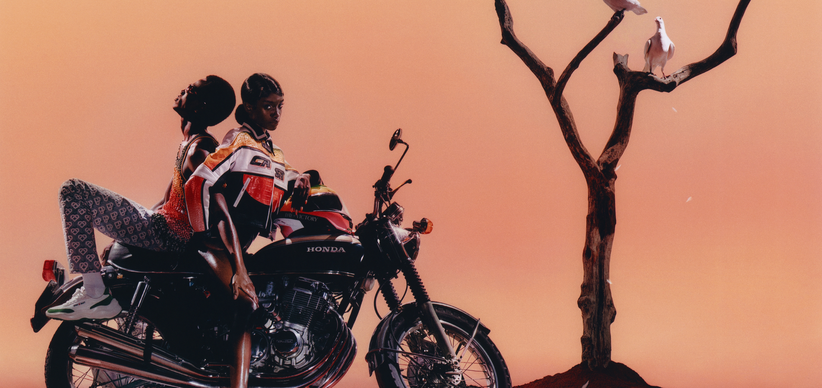 Casablanca Paris. Casablanca Paris.