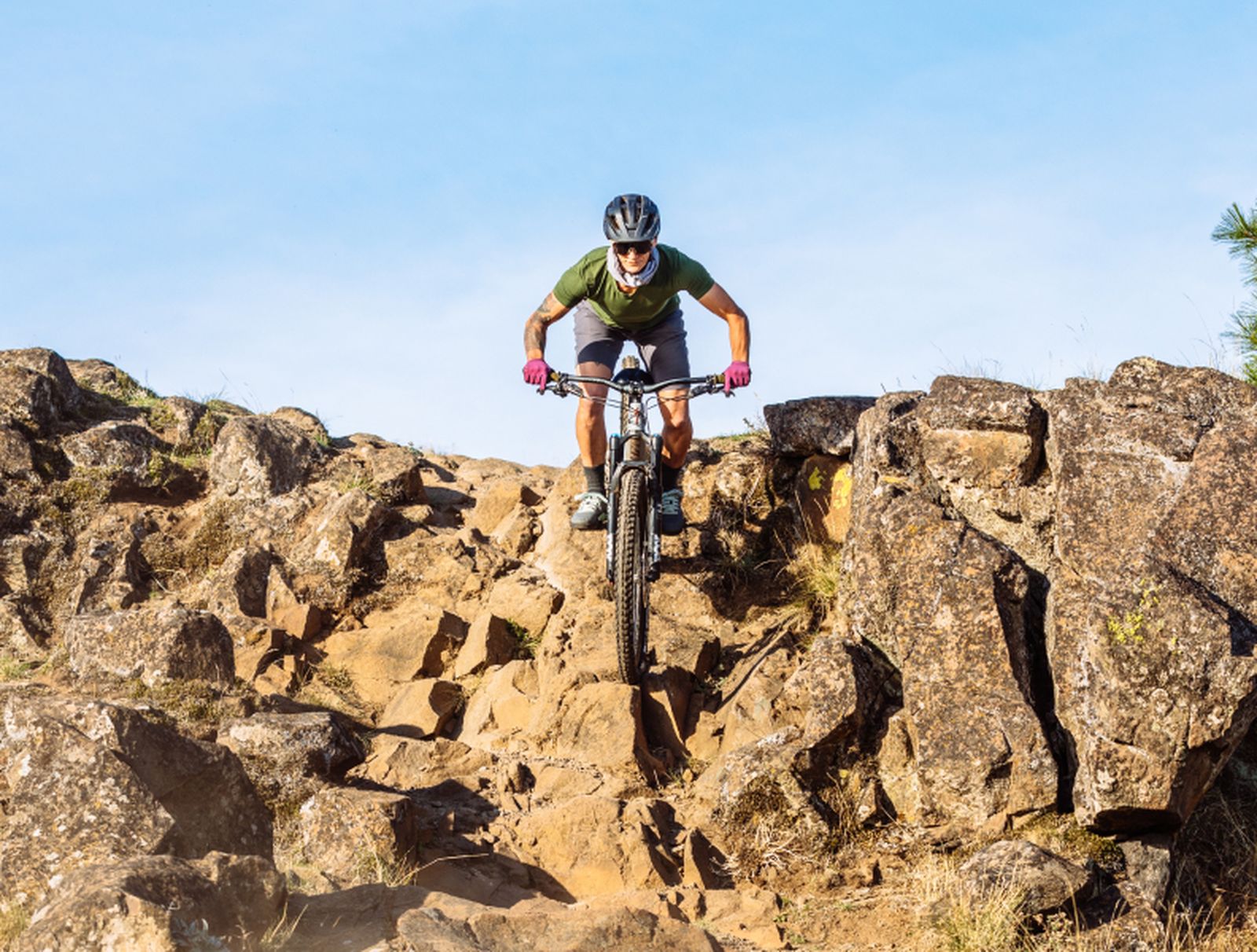 ZyroFisher. ZyroFisher.