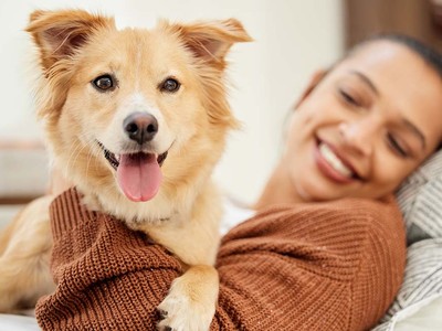 Is It Safe for Dogs to Eat Dates?