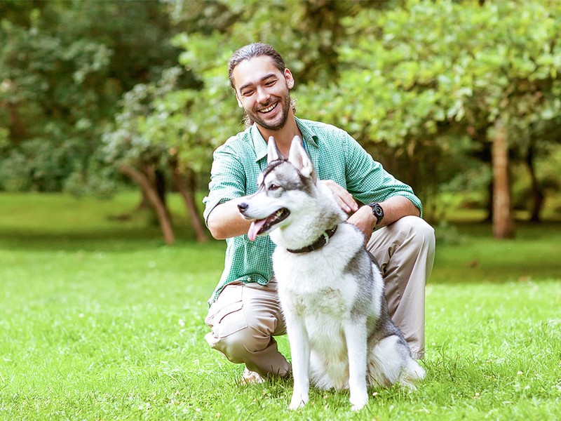 Is It Safe for Dogs to Eat Grass?