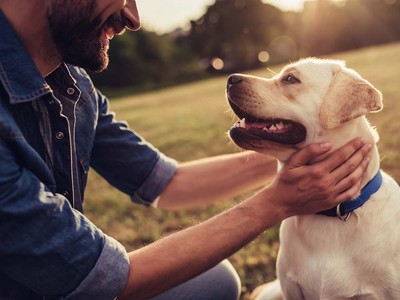 Is It Safe for Dogs to Eat Black Beans?