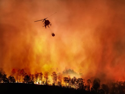 California Insurers Can Pass Half of $1B FAIR Plan Rescue Cost to Policyholders