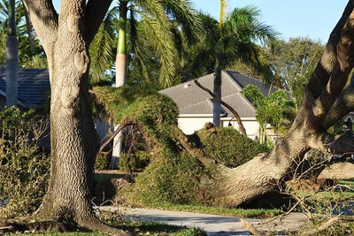 The New Tornado Alley: How Expanding Severe Storm Risk Is Disrupting Home Insurance