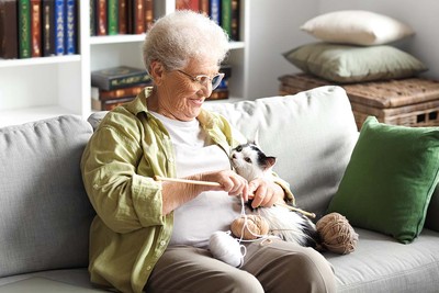 Home Insurance for Seniors: Costs, Coverage, and Discounts (2026)