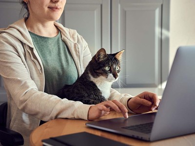 Healthy Paws vs. Fetch: Which Is the Best for Your Pet?