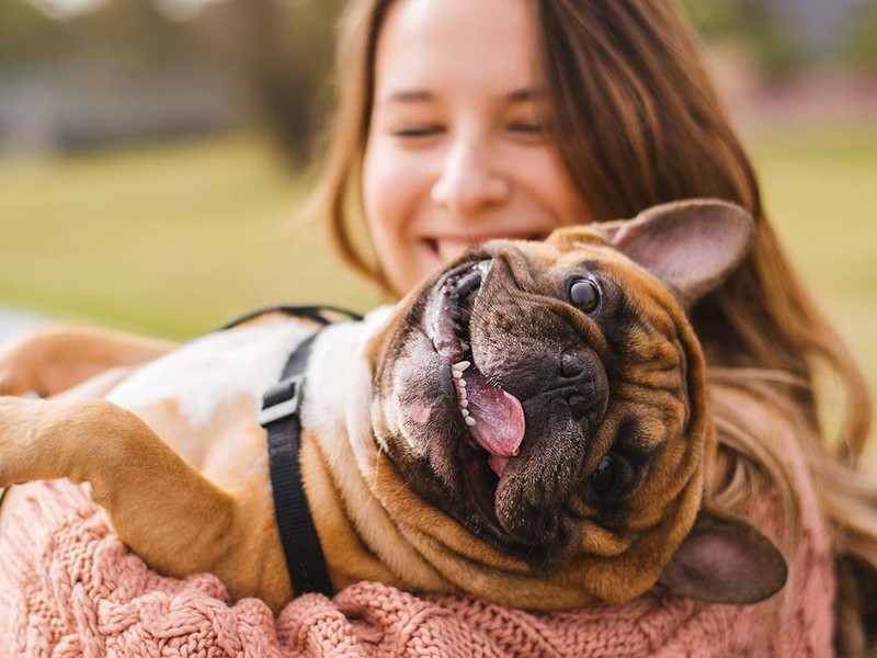 Is It Safe for Dogs to Eat Dragon Fruit?