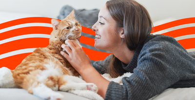 Best Pet Insurance in South Dakota (2025)