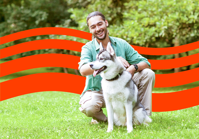 Pet Adoption Statistics and Animal Shelter Facts for 2025
