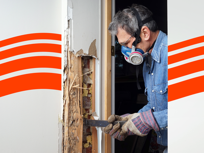 Does Home Insurance Cover Termite Damage?