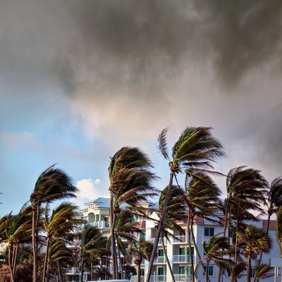 Florida’s Insurer of Last Resort Leaving Hurricane Victims High and Dry