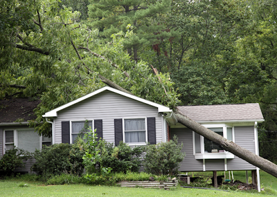 Healthy competition: Ranking the 25 largest home insurers in the US 