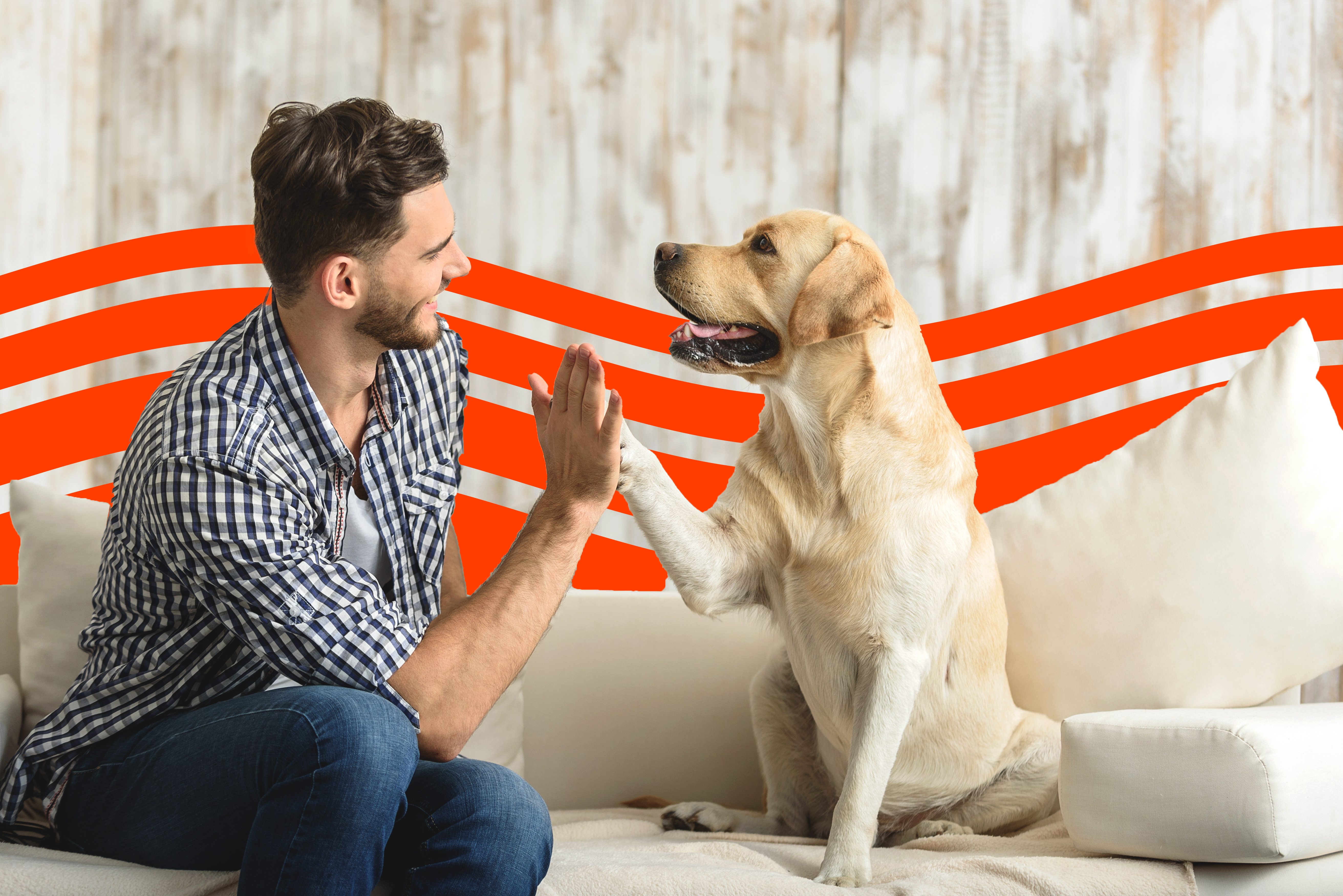 best-renters-insurance-companies-for-dog-owners-2026-insurify