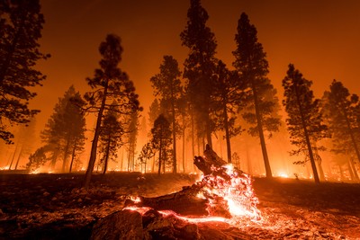 California Bars Home Insurers from Shedding Policies in Wildfire-Hit Areas