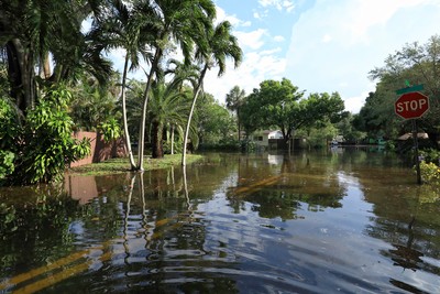 Hurricane Debby’s Uninsured Losses Could Top $9.7 Billion, Report Shows