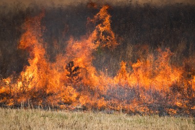 How Virginia Wildfires Could Impact Home Insurance Rates