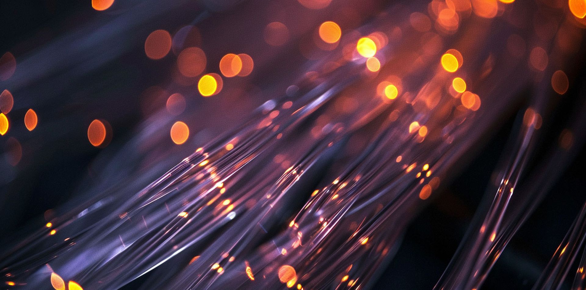 Svartfiber