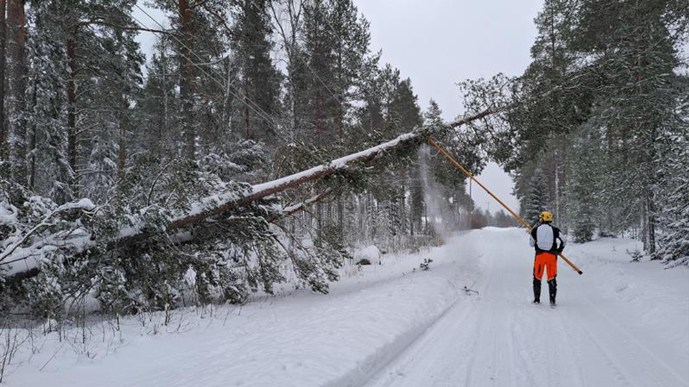 Reparatör jobbar med att återsälla elledningar efter stormen.