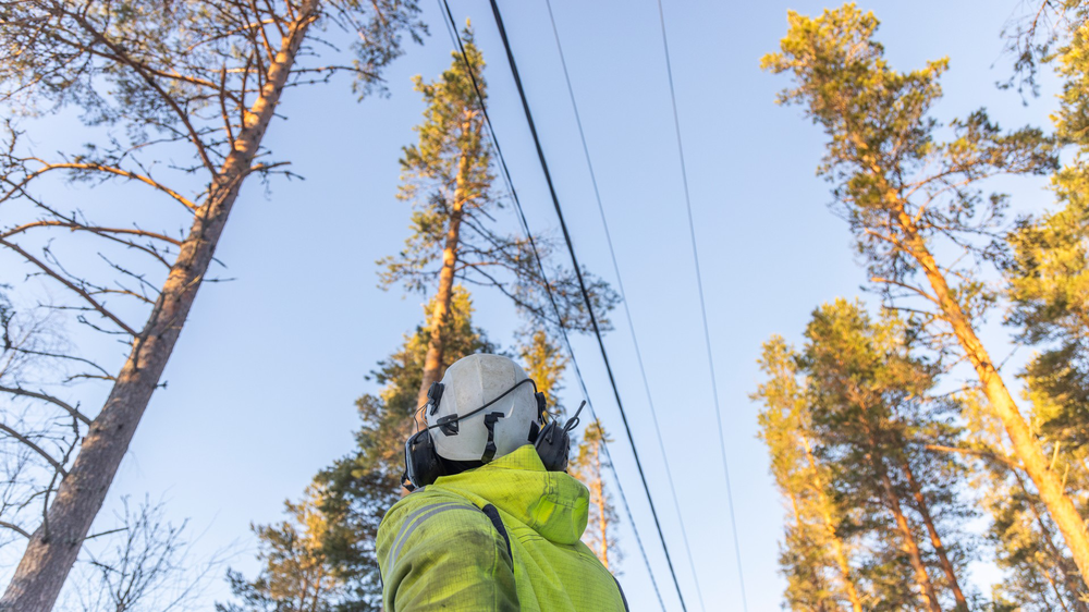 Person som tittar upp mot elledningar och trädtoppar.