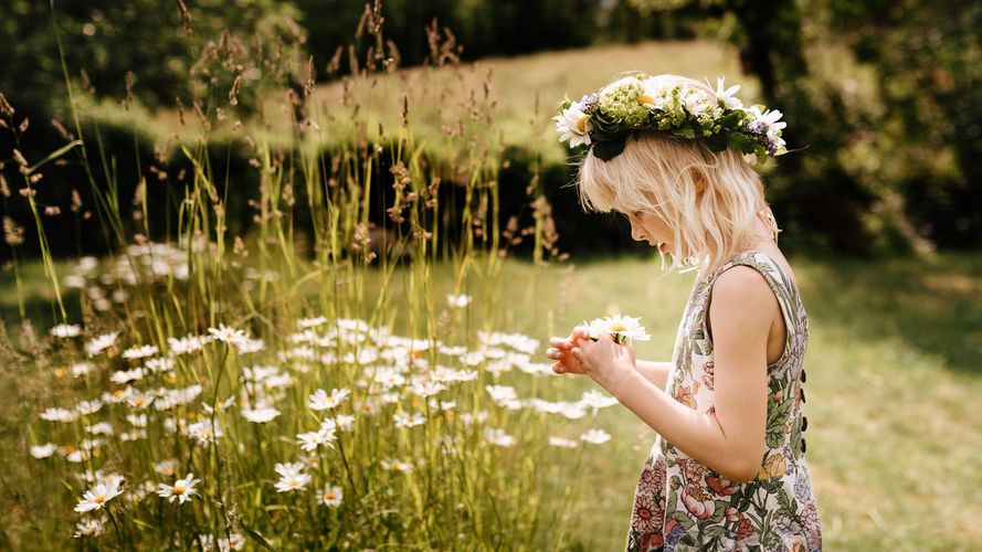 Barn som plockar blommor till midsommarkrans.