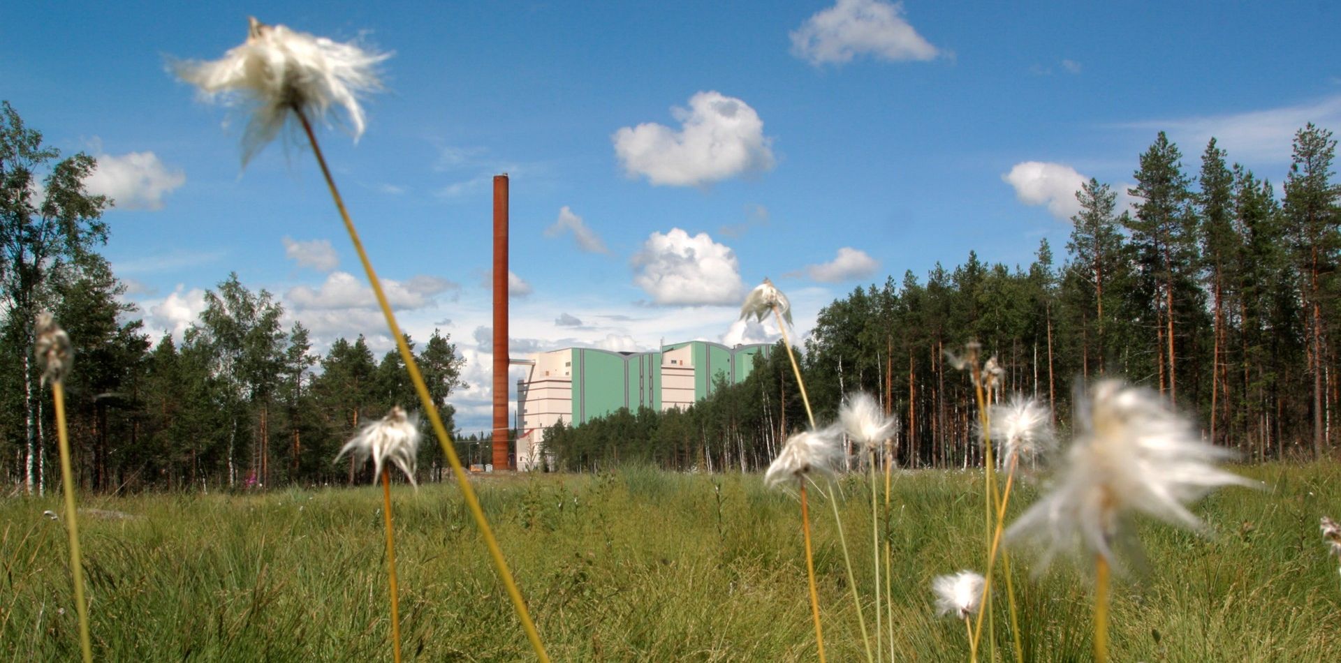 Vy över Dåva kraftvärmeverk med sommaräng i förgrunden, blå himmel i bakgrunden