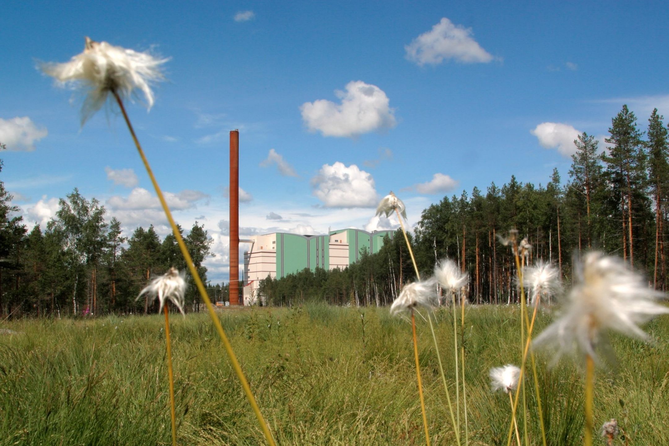 Vy över Dåva kraftvärmeverk med sommaräng i förgrunden, blå himmel i bakgrunden