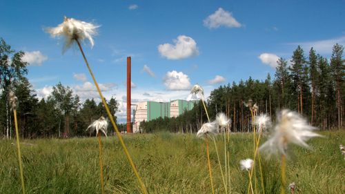 Vy över Dåva kraftvärmeverk med sommaräng i förgrunden, blå himmel i bakgrunden