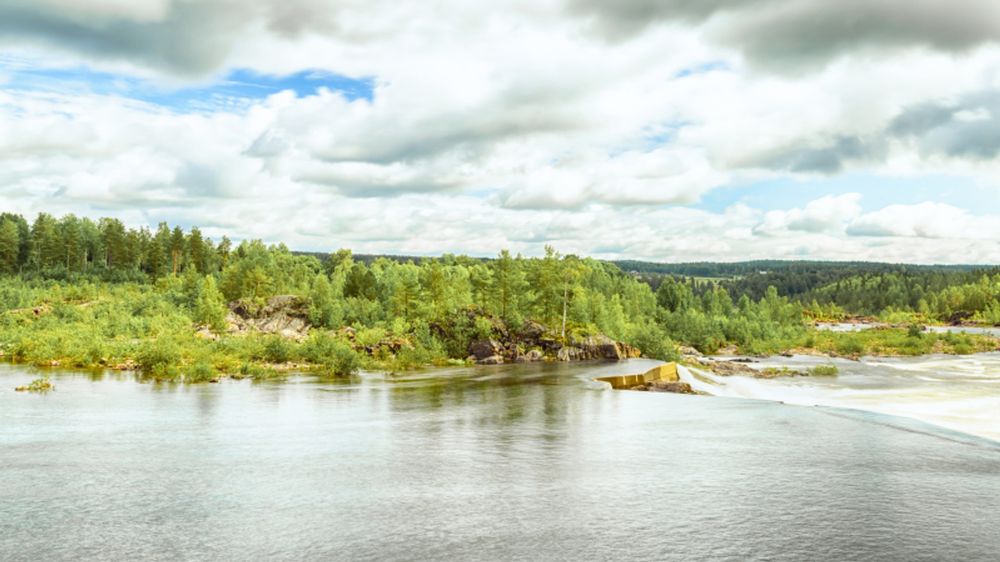 En flod som rinner genom en grönskande skog
