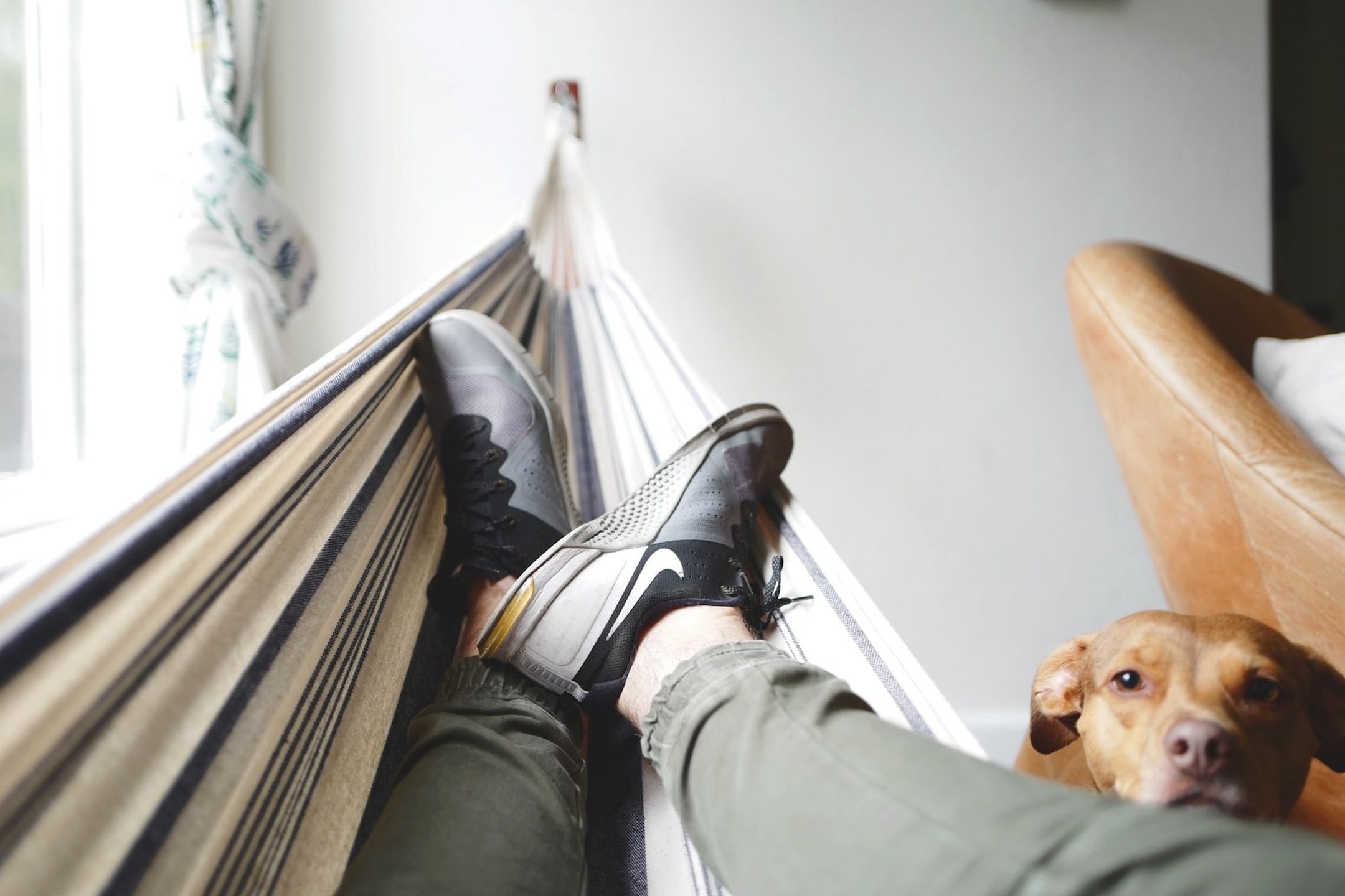 Ben och fötter på person som ligger i hängmatta inomhus med hund intill