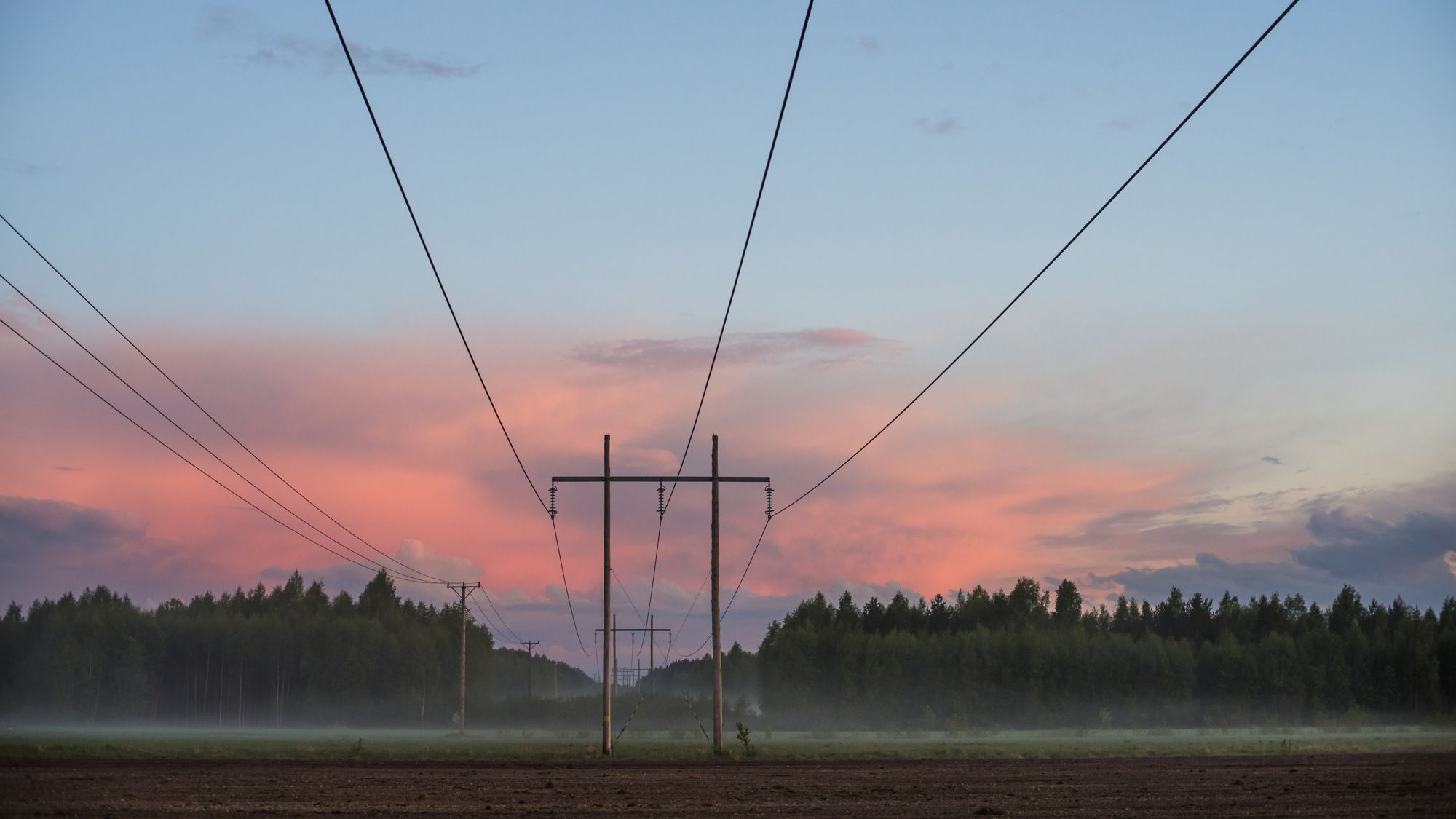 Elnätsledningar i kvällsljus.