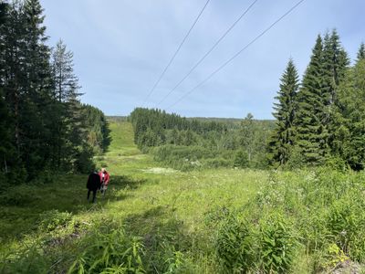 Ledningsgata, Hässningsberget Umeå