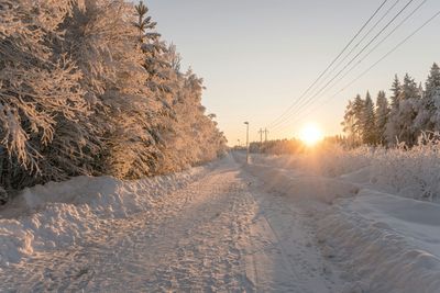 Snöklädd vinterväg med gatubelysning, elledning, skog och sol