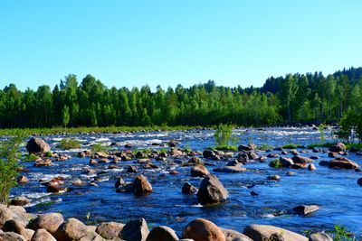 Vy över vatten och natur i Baggböle, Umeå