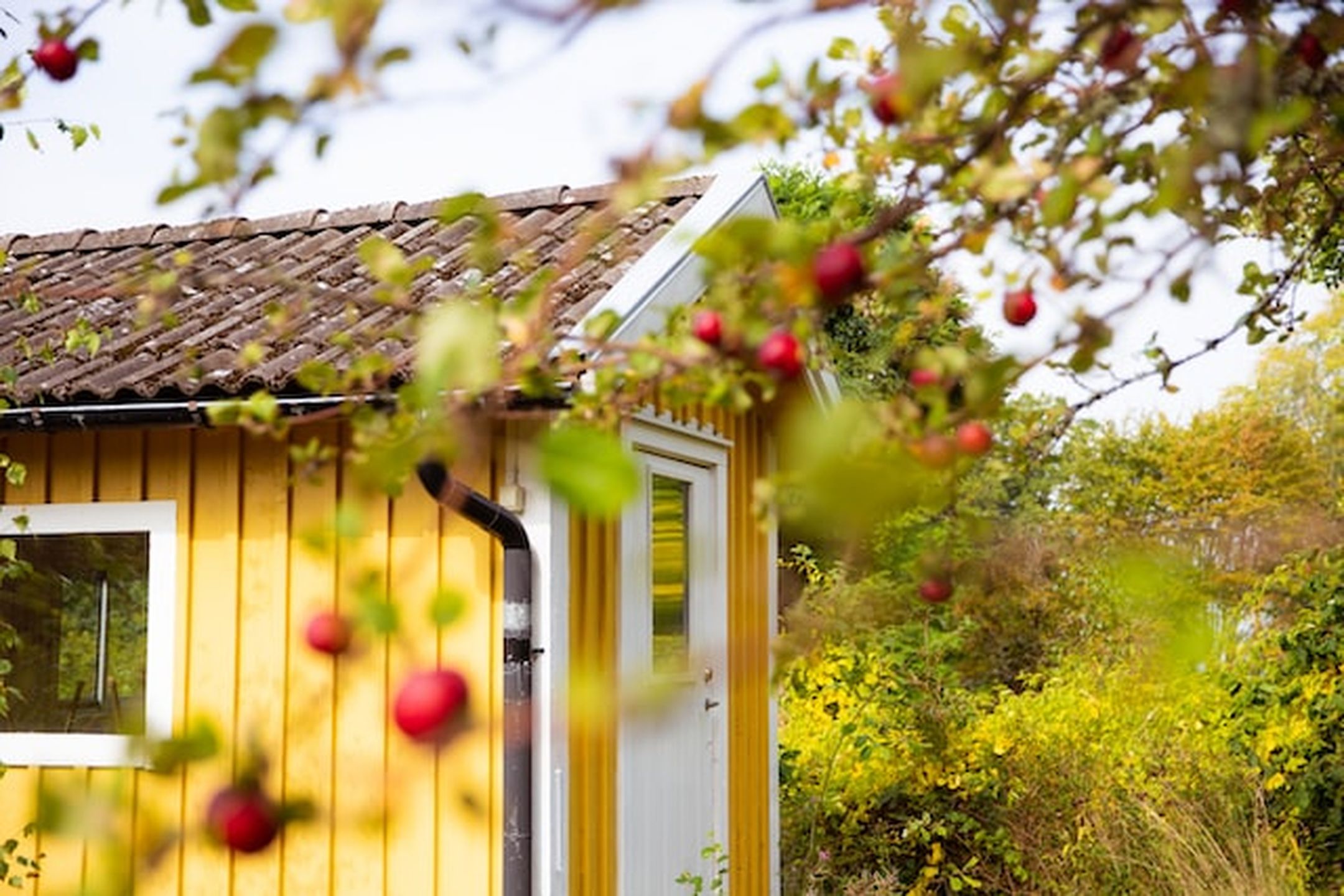 Elanvändning i olika hushåll