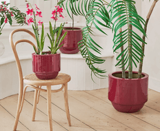 Plantenpotten