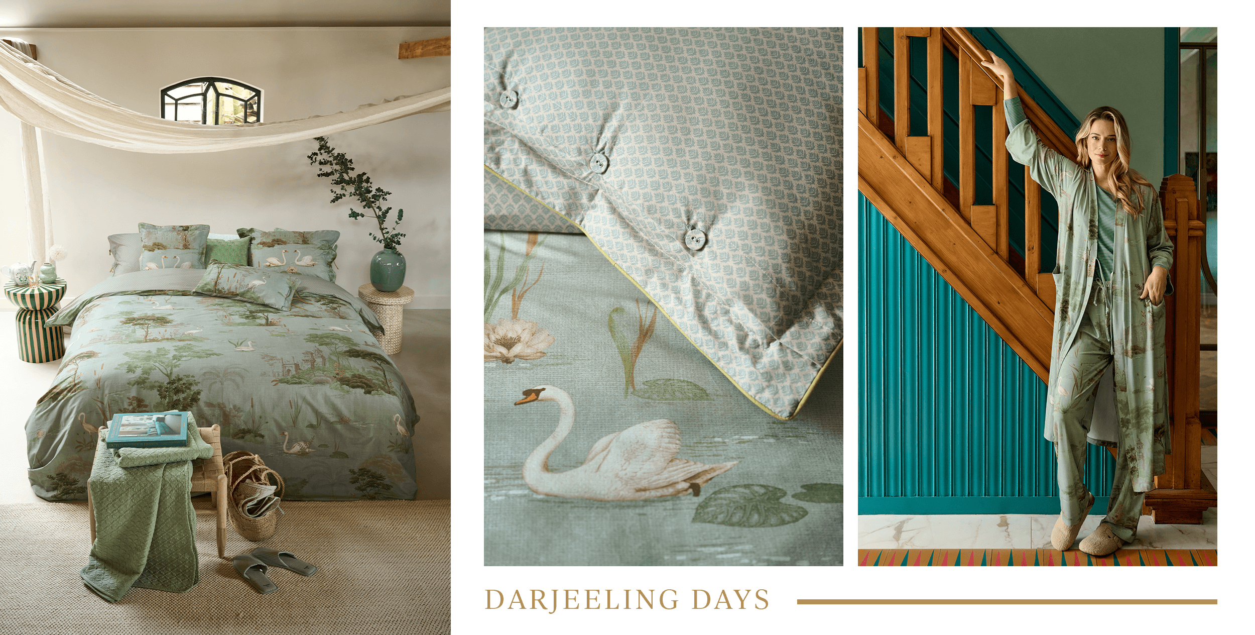 darjeeling days
