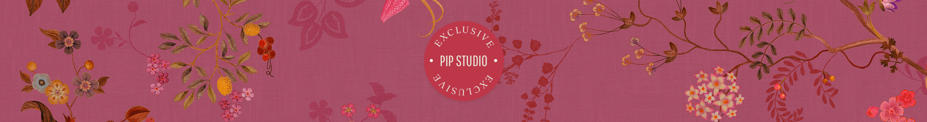 pip studio