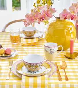 care guide porcelain tips how to