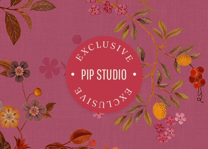 pip studio