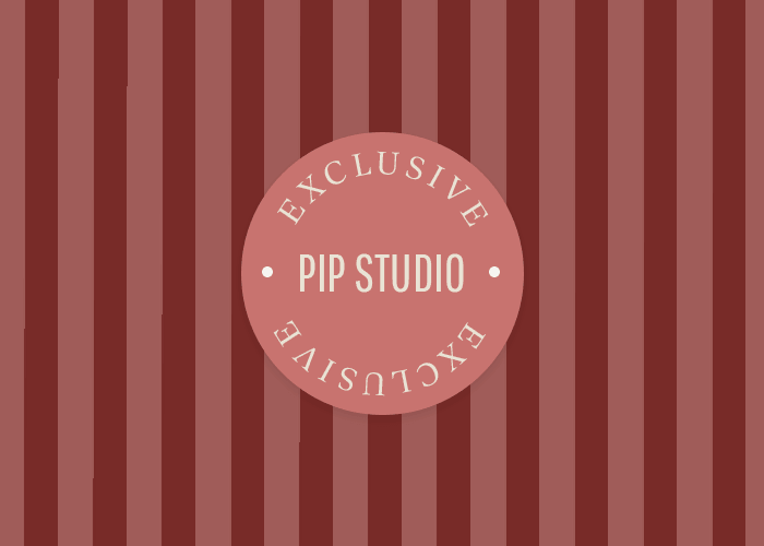 pip studio