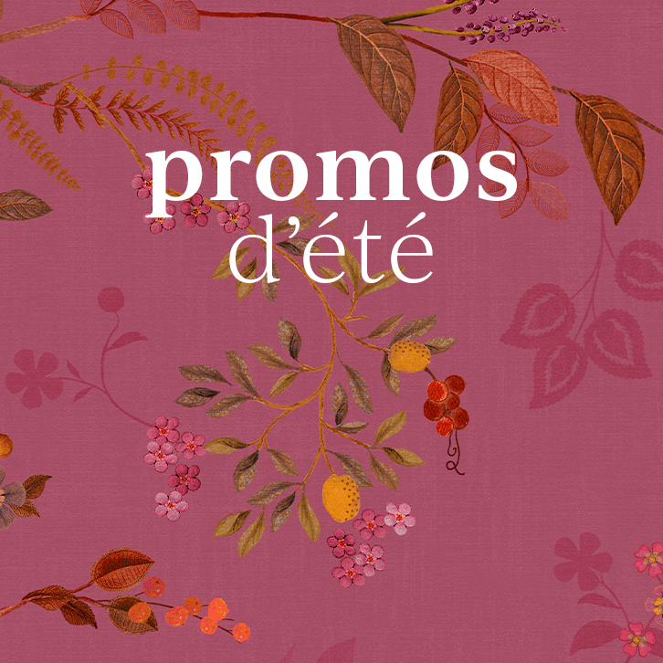 pip-studio-promos