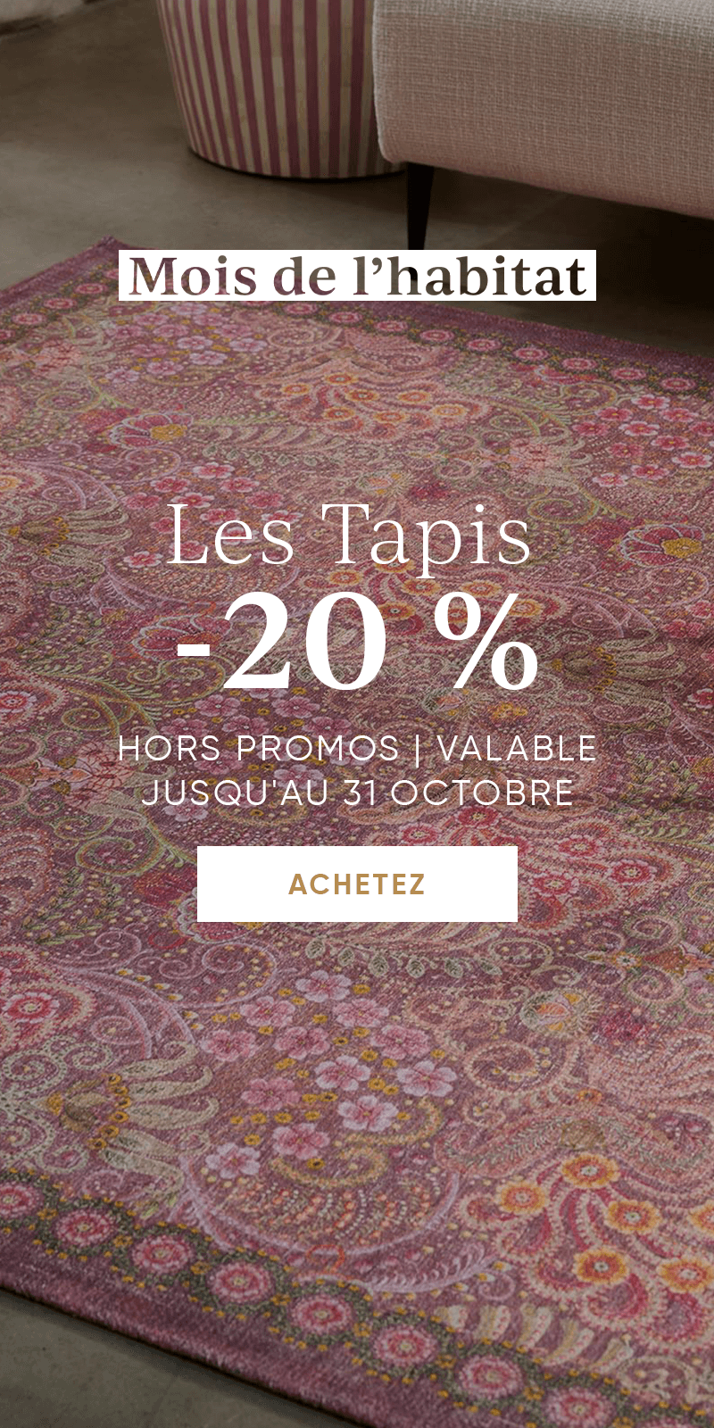 tapis-pip-studio