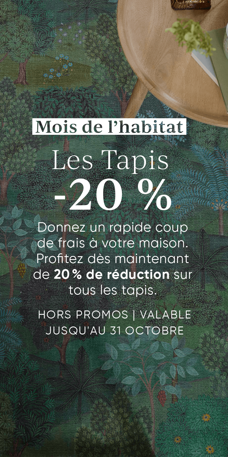 tapis-pip-studio