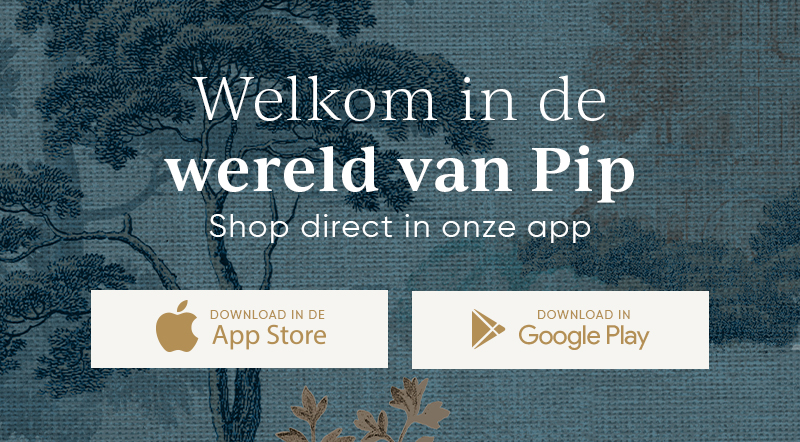pip studio
