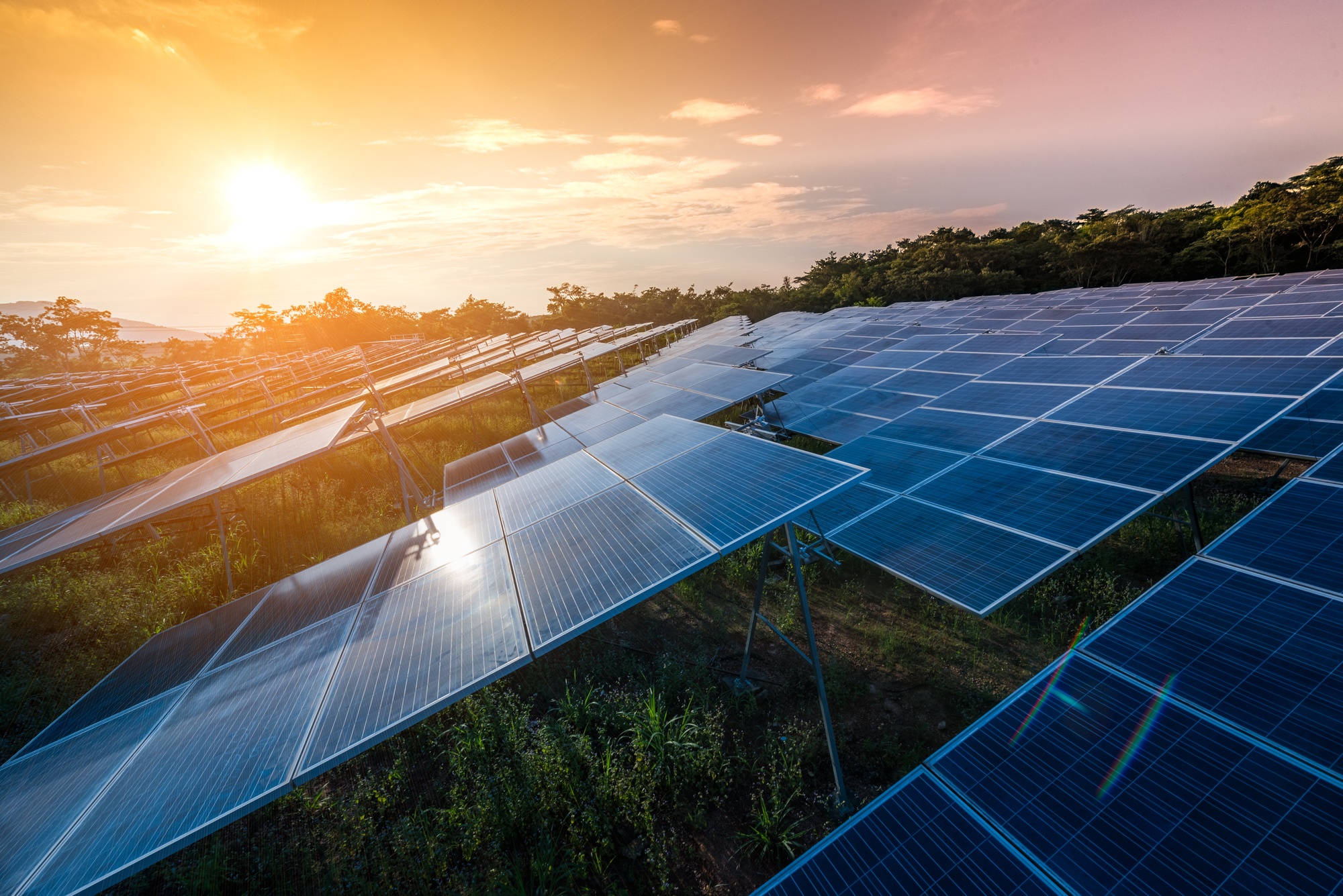 solar panels