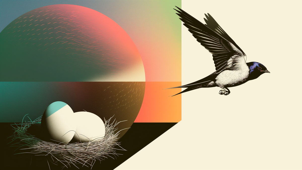 Incubator vs accelerator What's the difference?