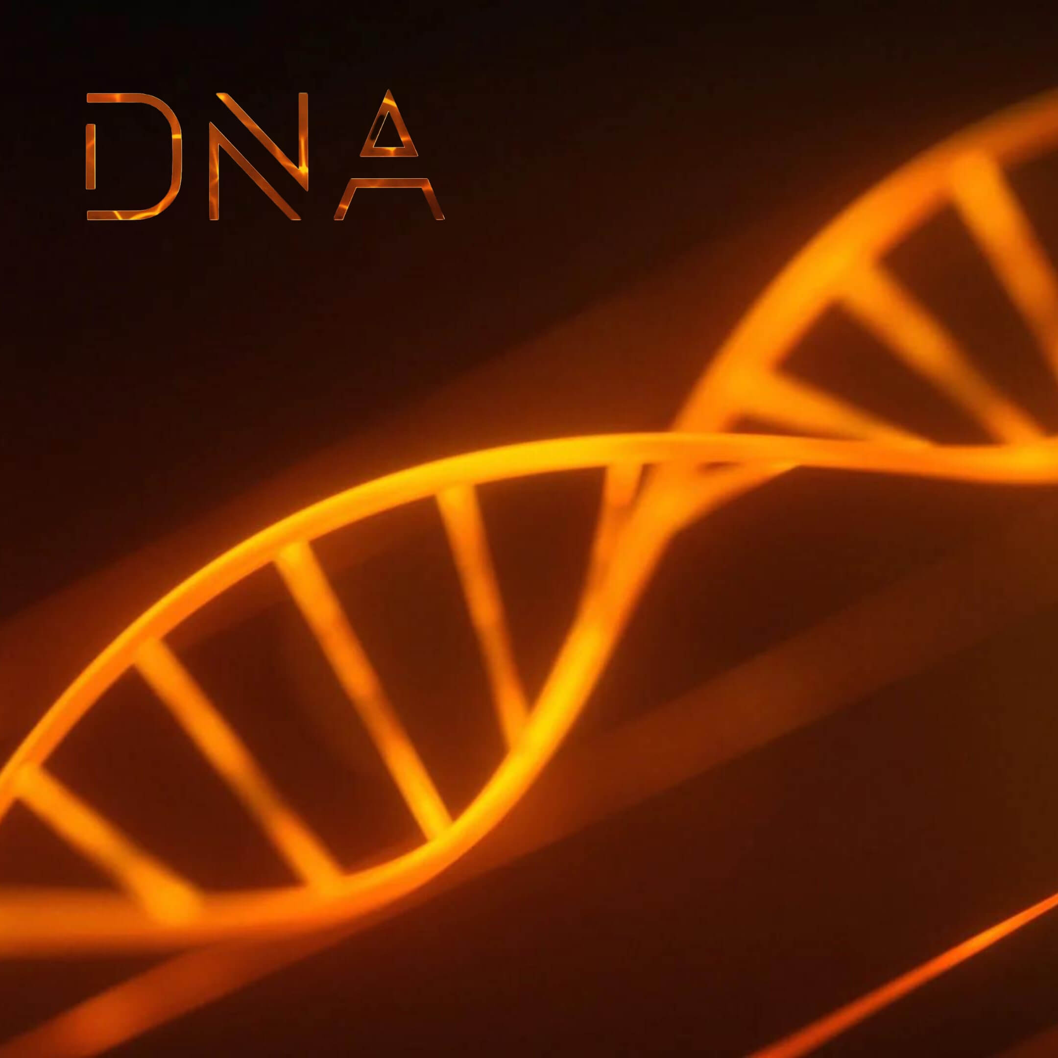 DNA Platinum XH | STIGA Sports