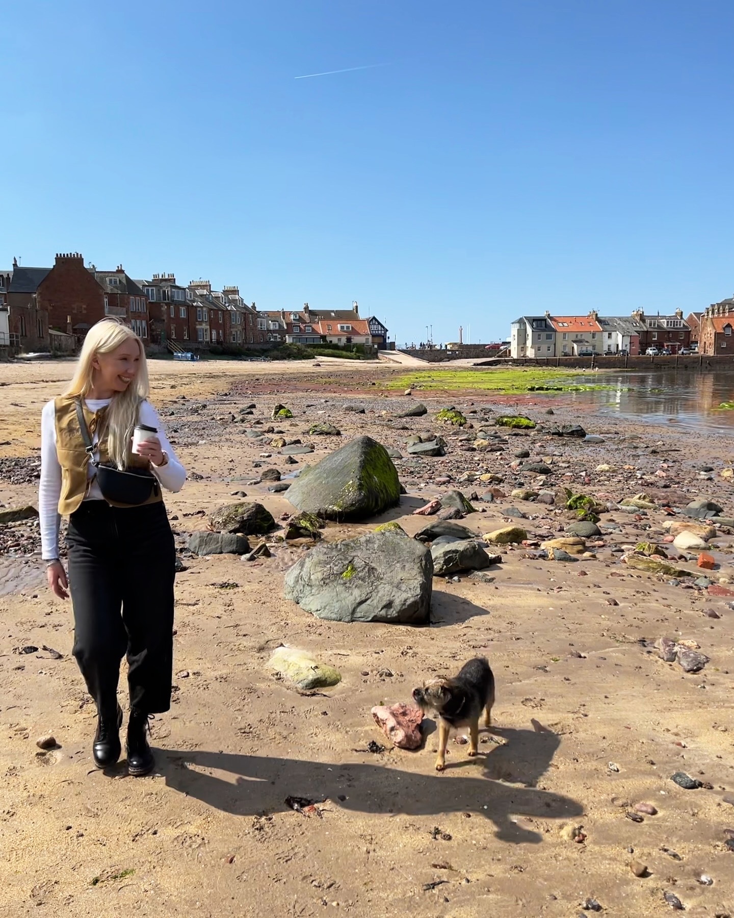 Woman walking a small dog on a sandy beach, holding a coffee cup, with houses and rocks in the background.